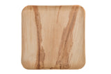Top of 9 inch square palm leaf plate