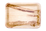 Top of 14 inch rectangle palm leaf platter